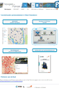 Mobile Screenshot of navigeerenparkeer.be